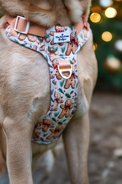 Gingerbread Grove Adventure Paws Harness