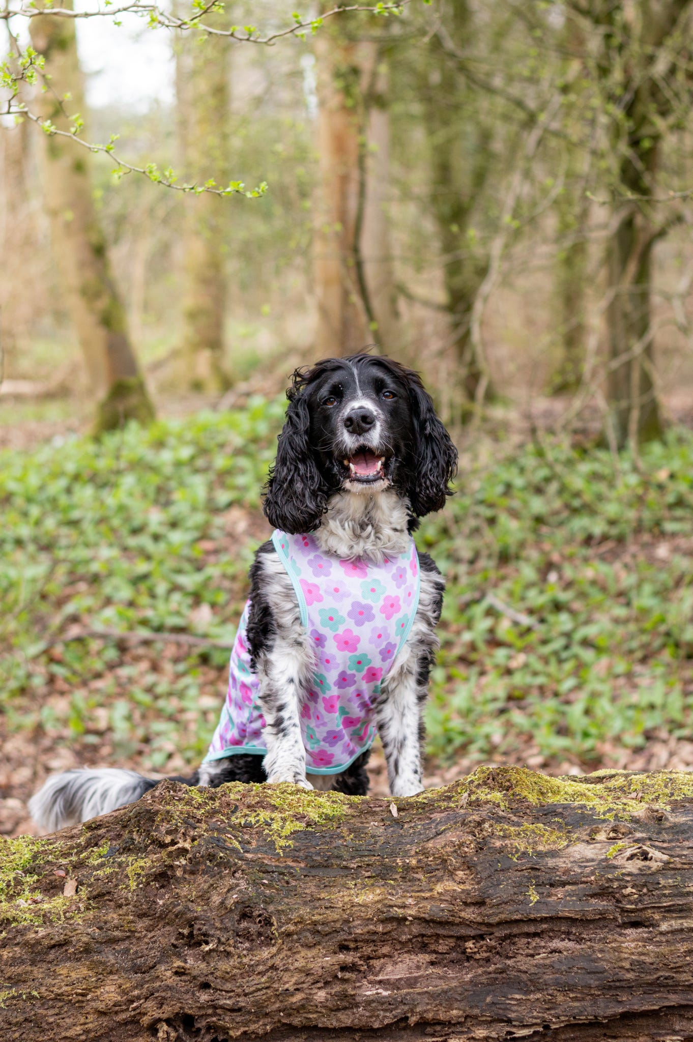 The Minty Meadows / Flower Power Cooling Vest