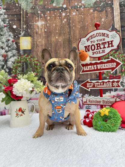 Seasons Tweetings Adventure Paws Harness