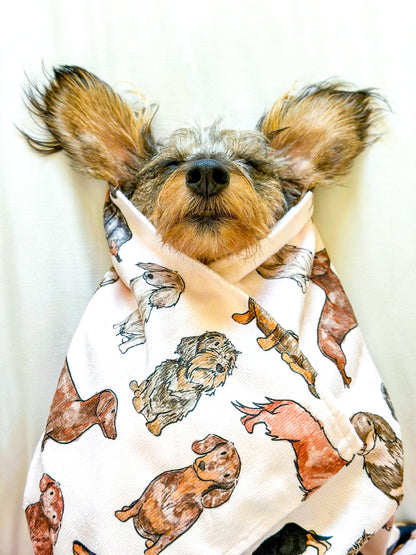 The Dachshund Dog Towel