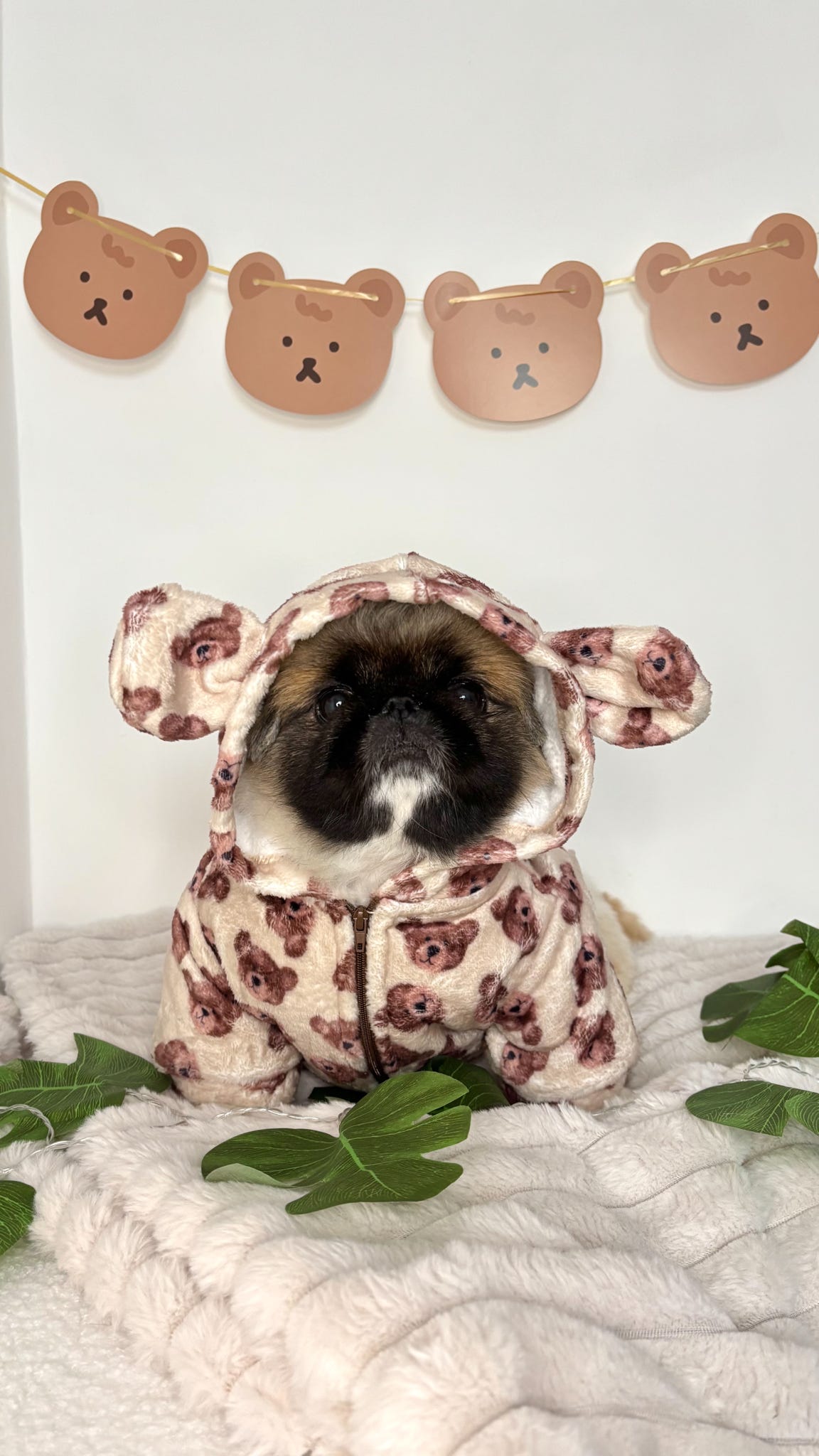 The Little Bear Cub Snuggle Fleece (With Hood & Ears)