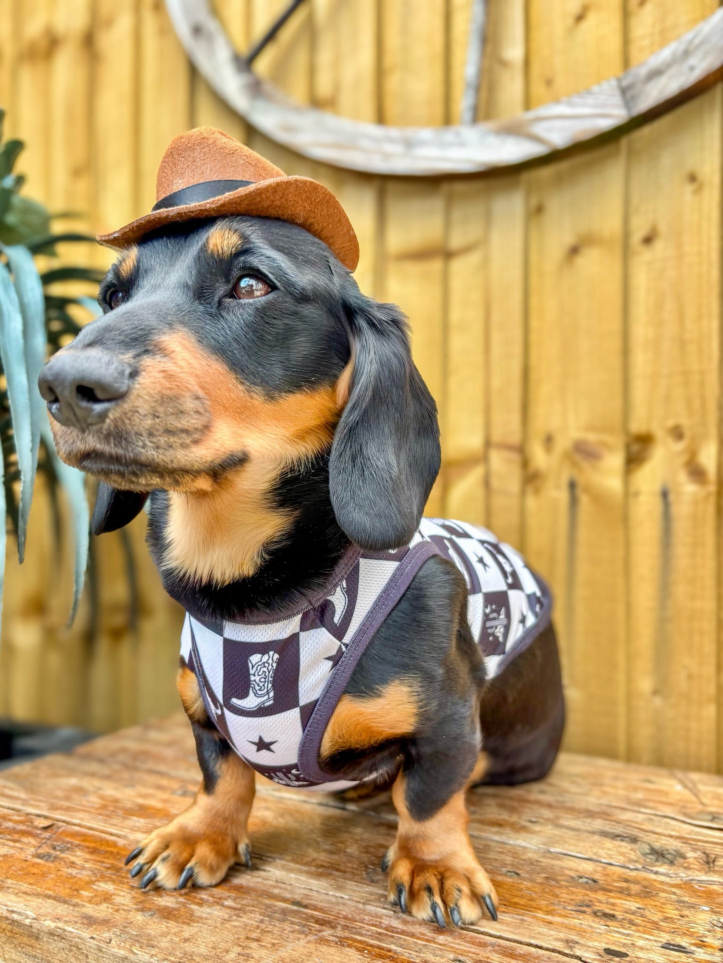 The Wild West Cooling Vest