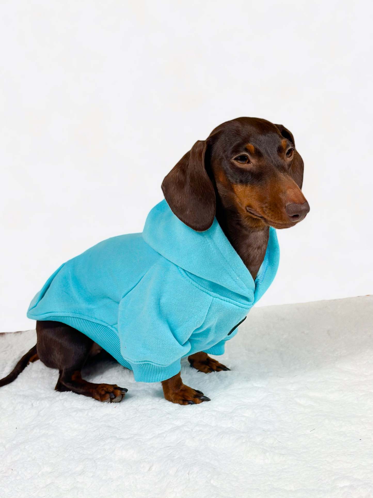 Dog Hoodie - Aqua Blue