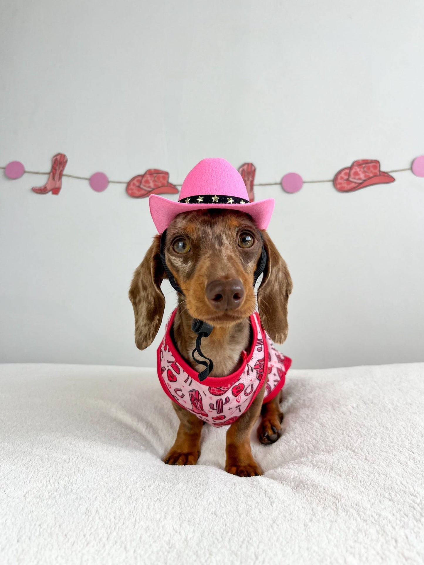 The Giddy up Pup Cooling Vest