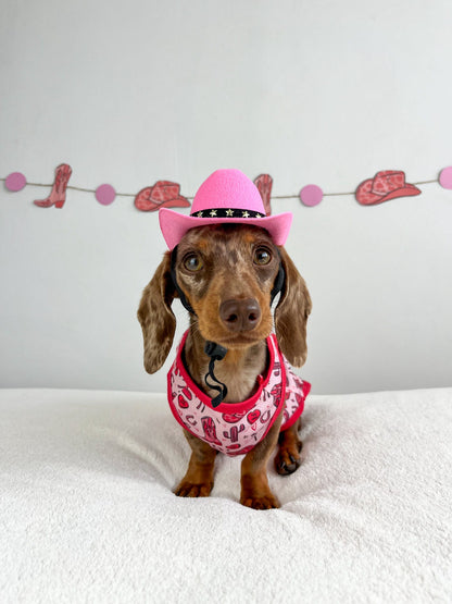 The Giddy up Pup Cooling Vest