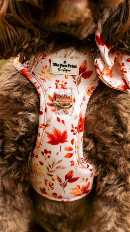 Maple Meadows Adventure Paws Harness