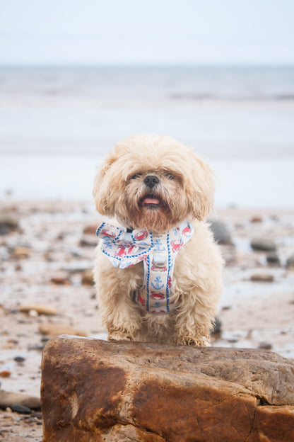 Absolutely Crabulous Adventure Paws Harness