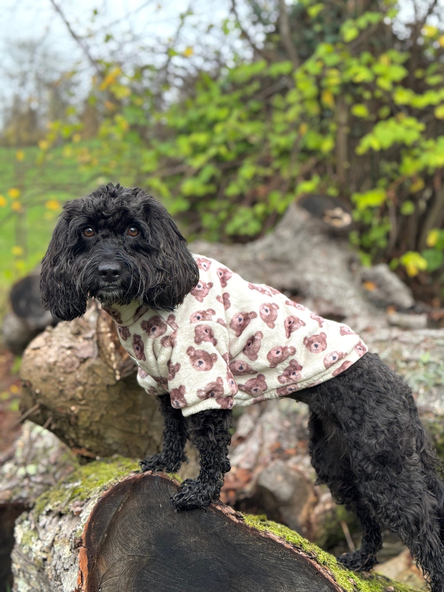 Little Bear Cub Snuggle Fleece