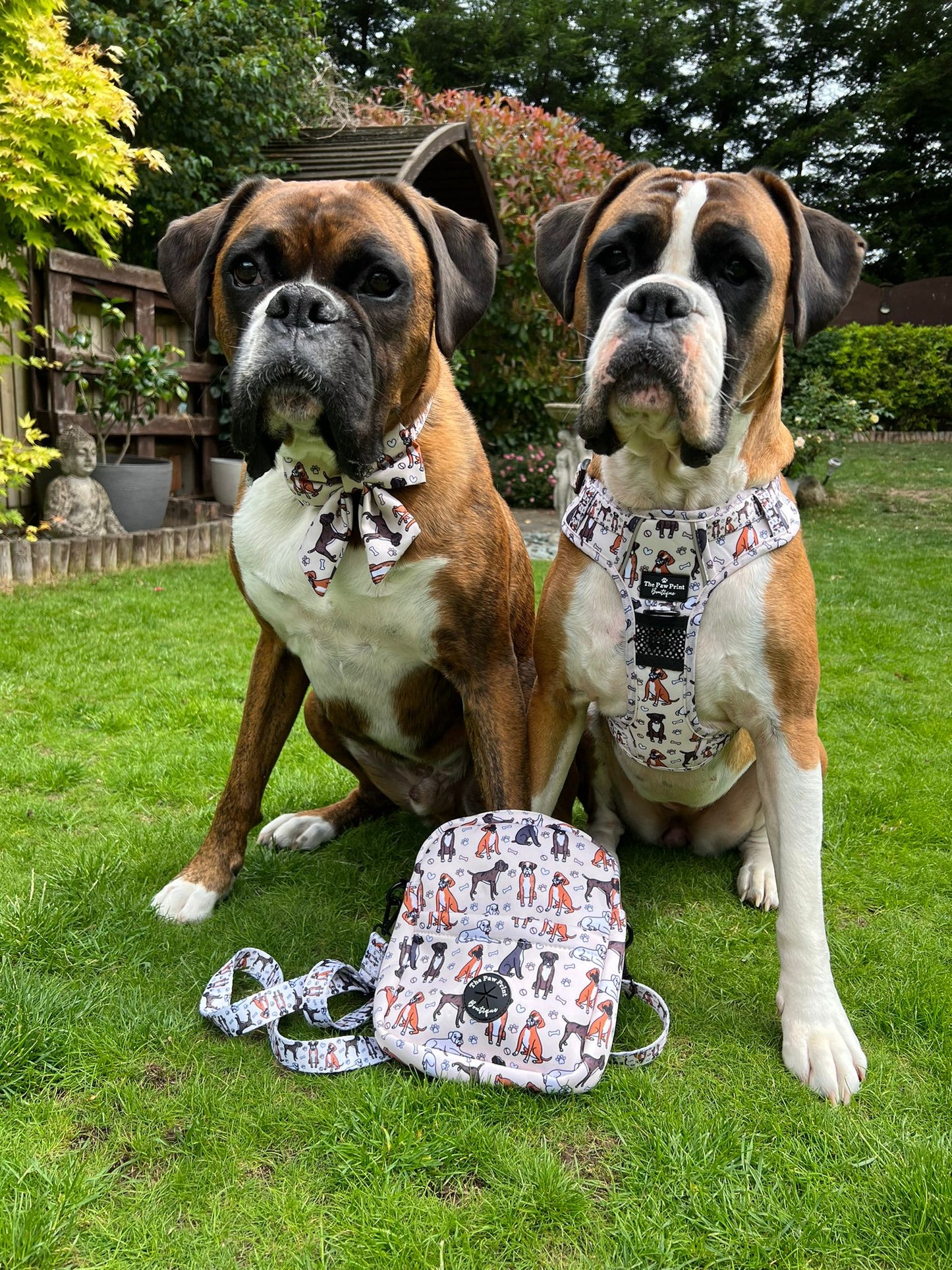 The Boxer Dog Walking Bag