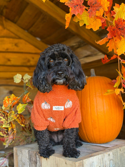 The Embroidered Pumpkins Teddy Fleece