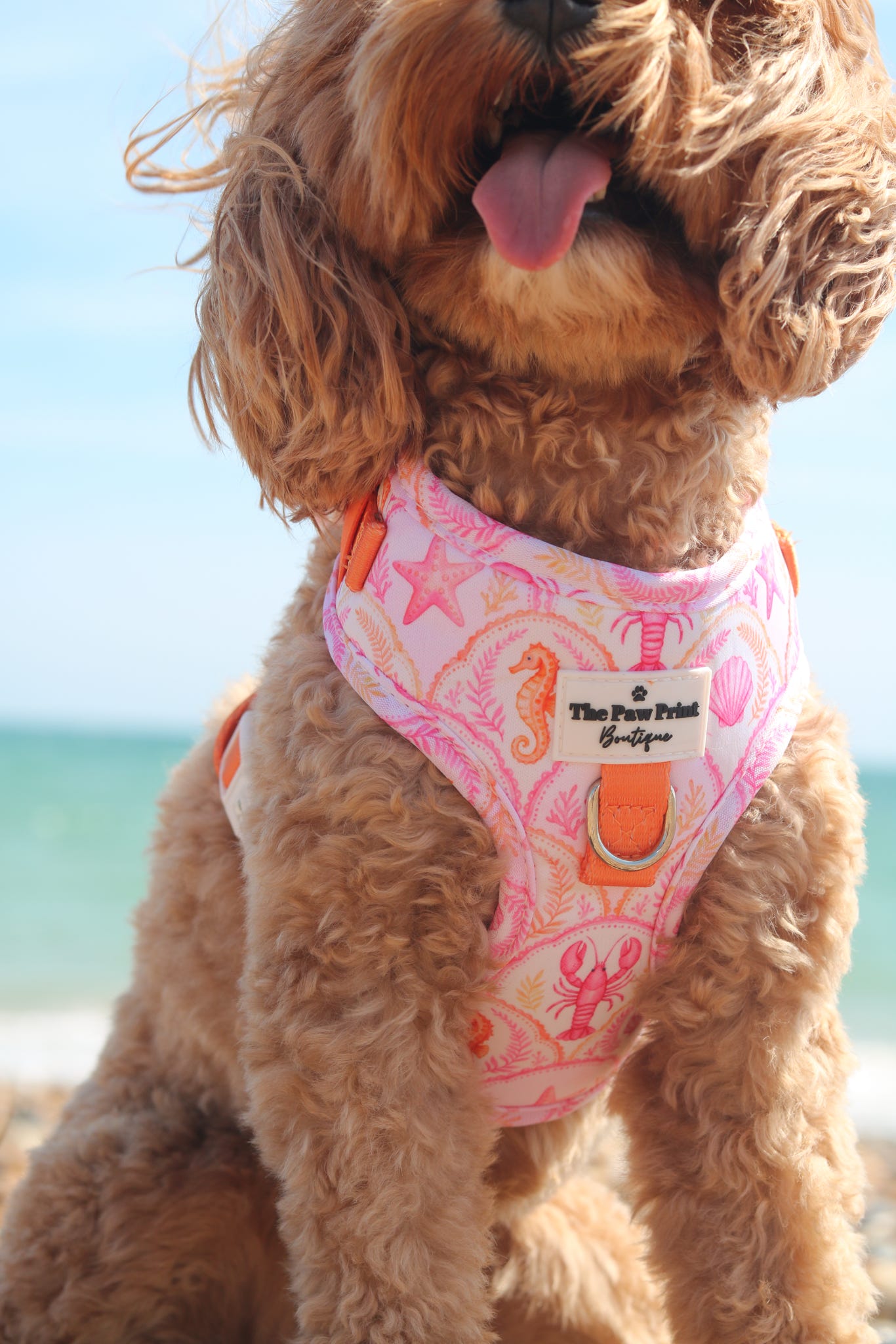 Under the Sea Adjustable Harness