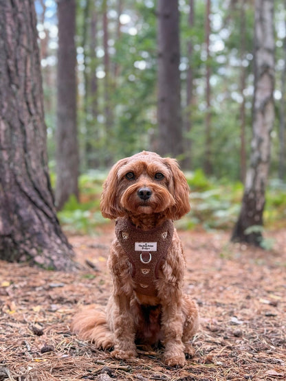 The Embroidered Little Bear Cub Adjustable Harness