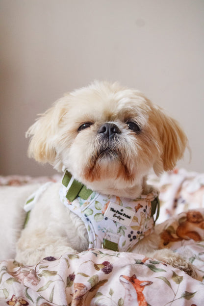 Whimsical Wildlife Adventure Paws Harness