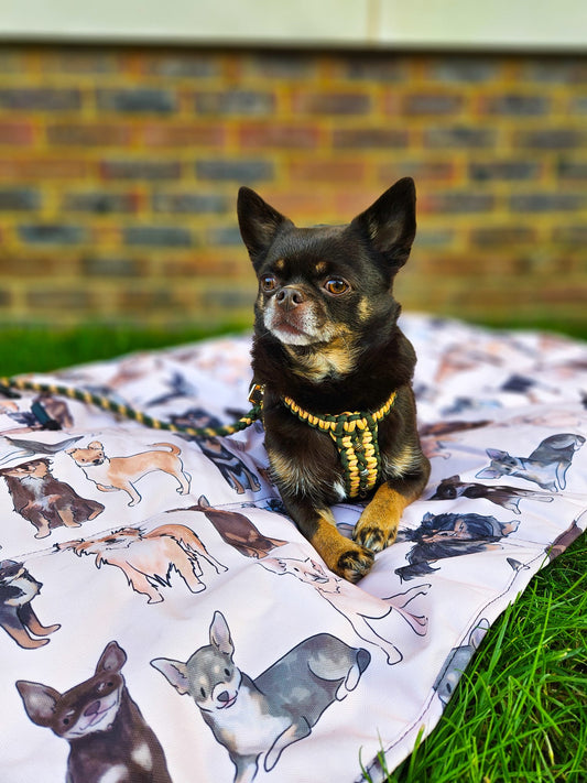 The Chihuahua Travel Mat