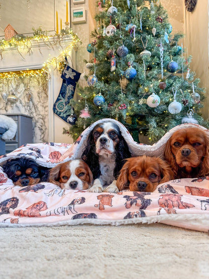 The Cavalier Human Blanket