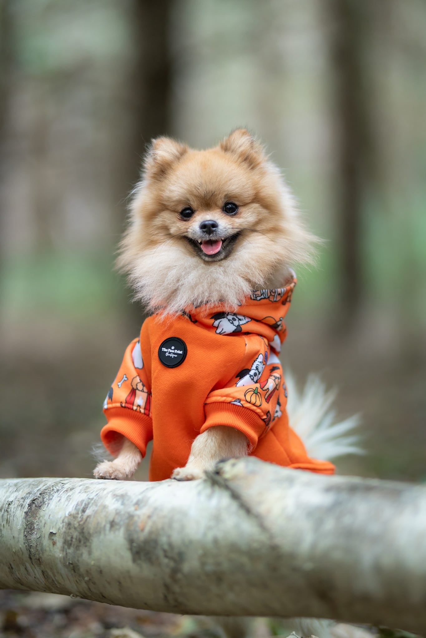 The Happy Howloween Hoodie (Orange)
