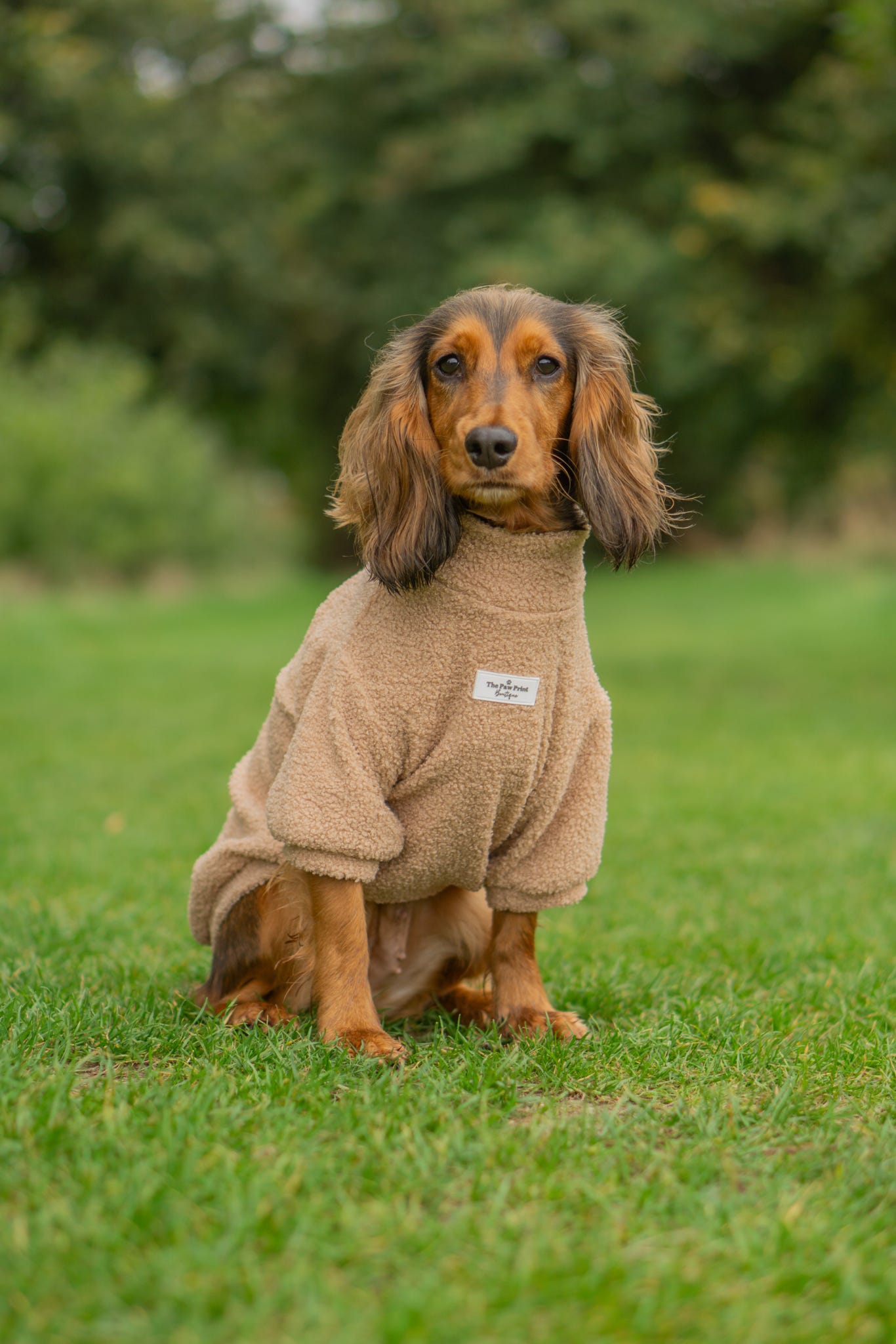 Teddy Fleece - Biscuit