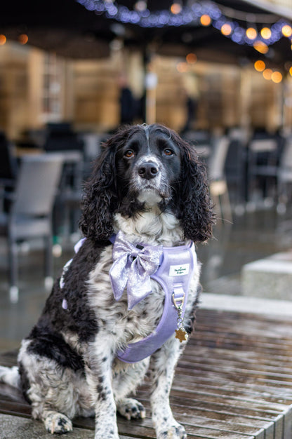 The Lavish Lilac Bow Tie