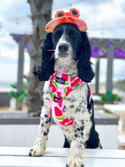 The Watermelon Sugar Adventure Paws Harness