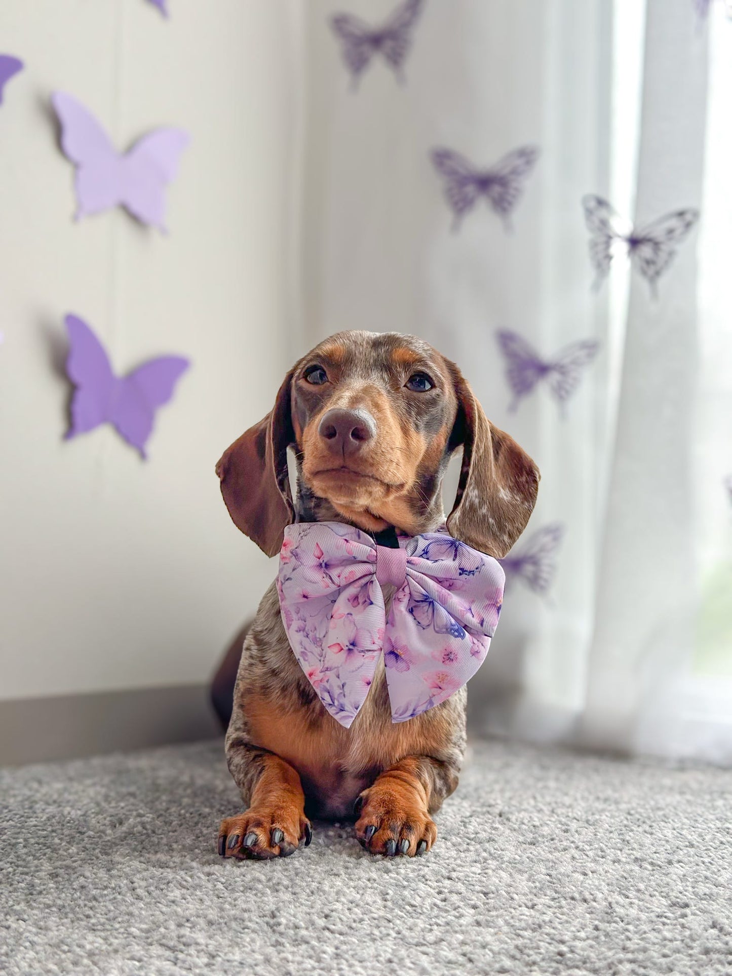 Butterfly Bliss Bow Tie
