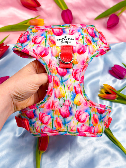 The Tulip Field Adjustable Harness