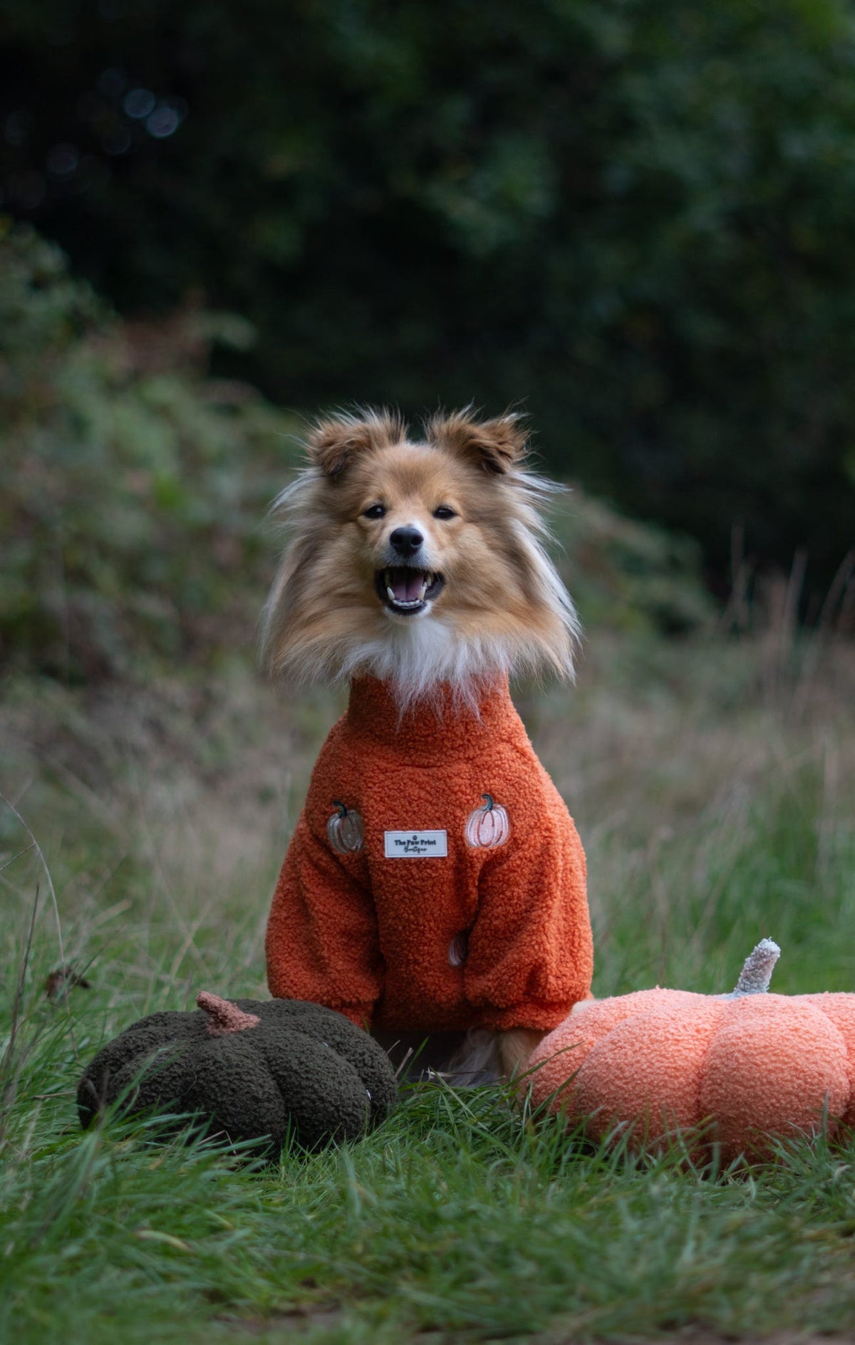 The Embroidered Pumpkins Teddy Fleece