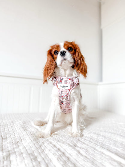 The Puppy Love Adventure Paws Harness