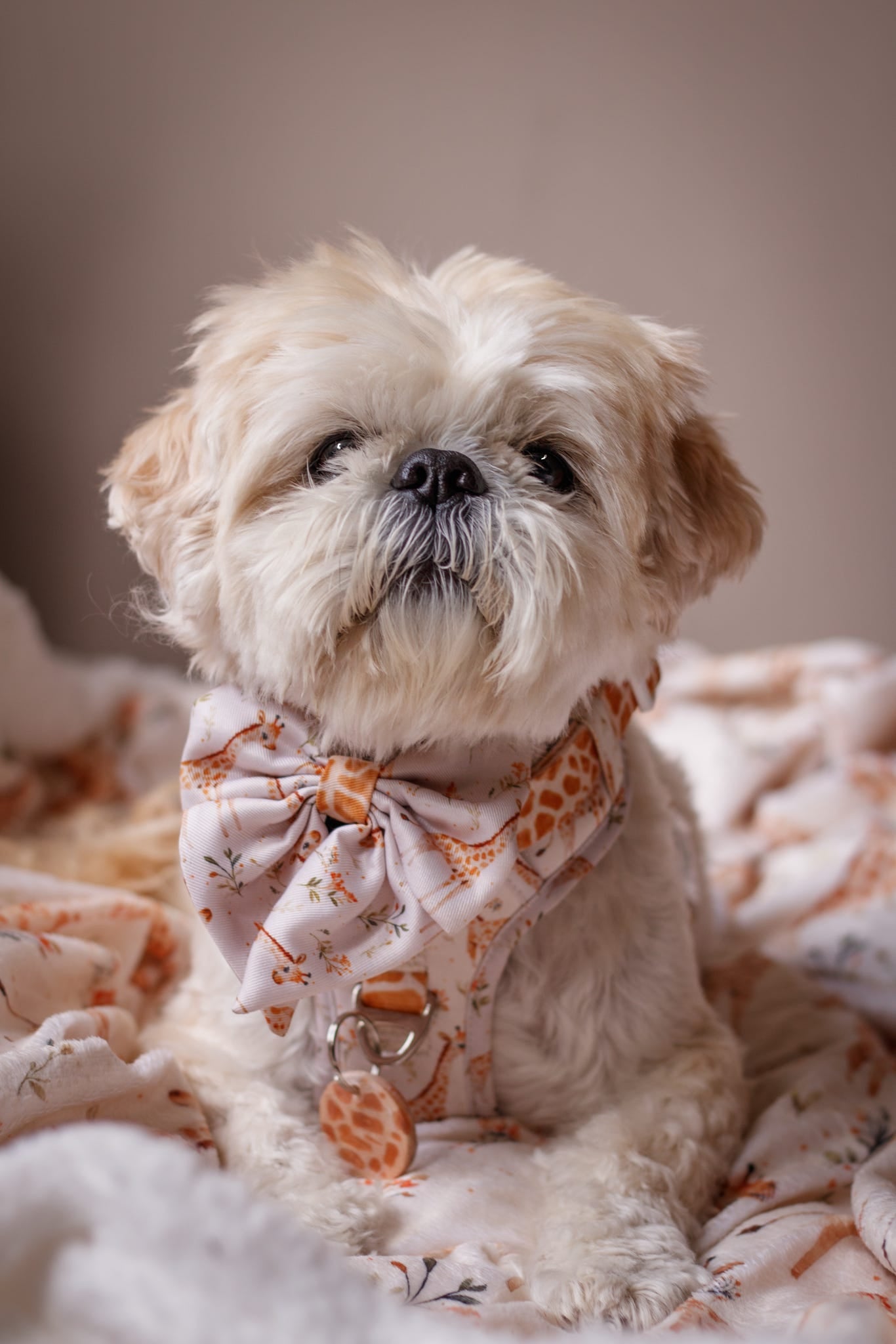 The Graceful Giraffe Bow Tie