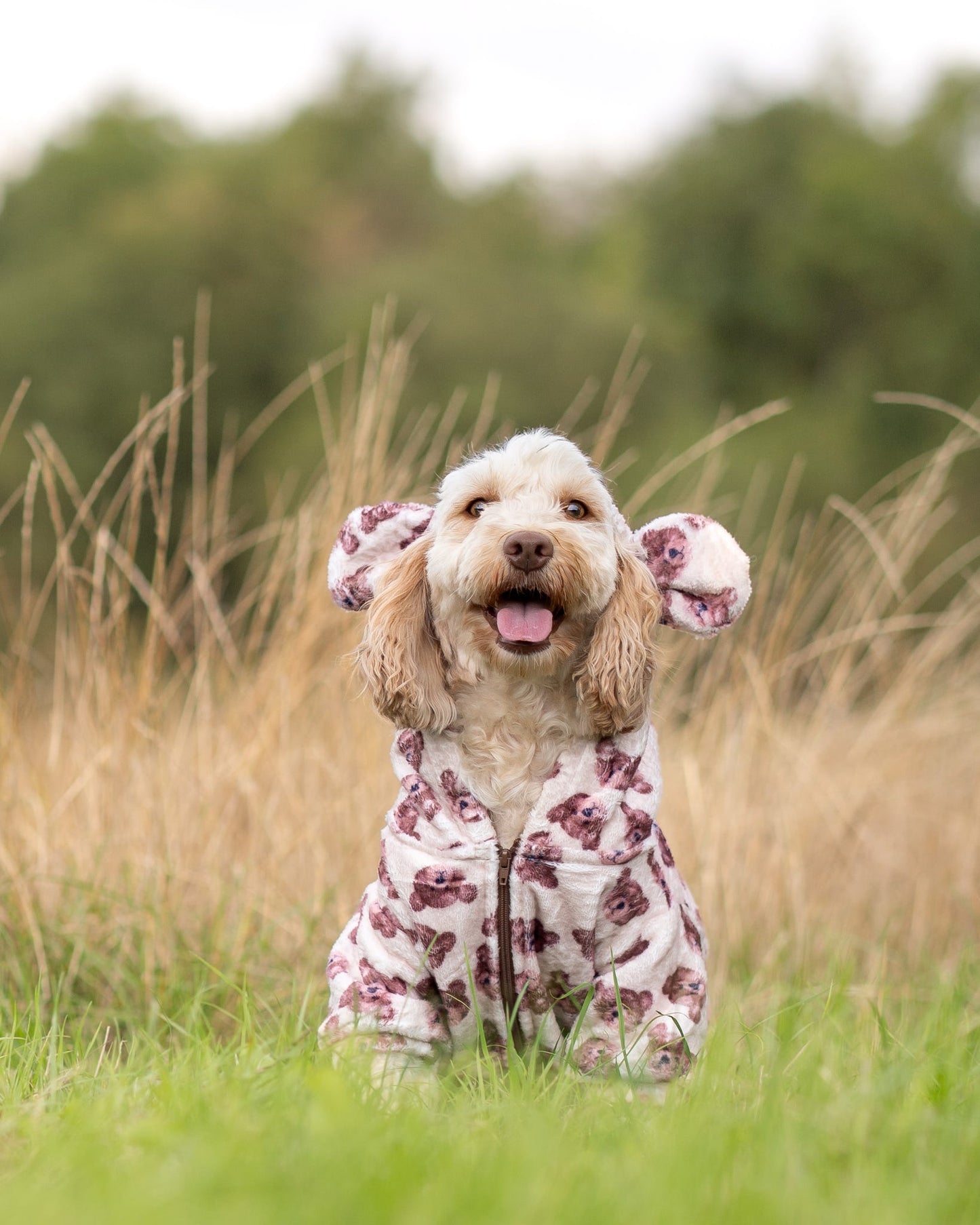 The Little Bear Cub Snuggle Fleece (With Hood & Ears)