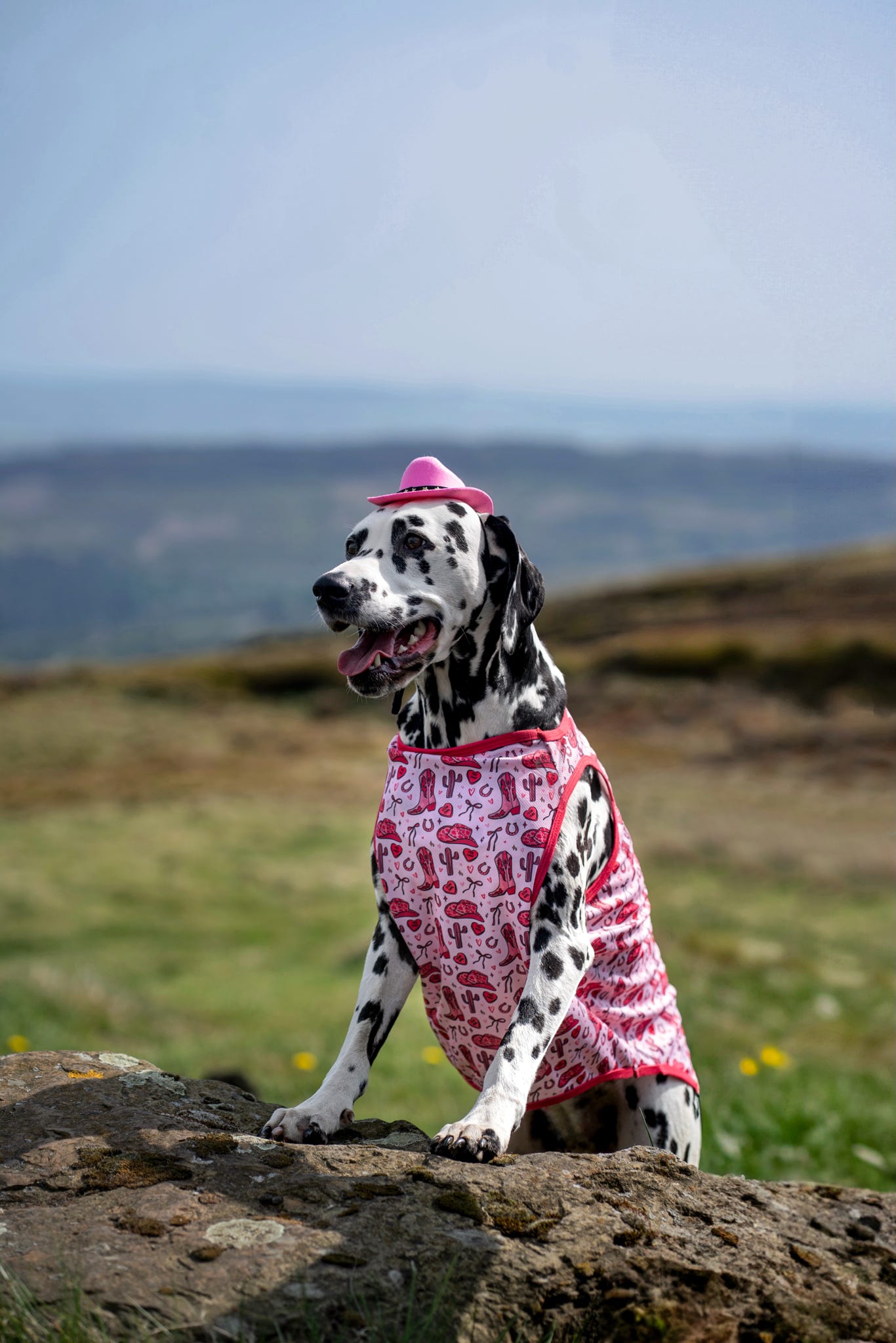The Giddy up Pup Cooling Vest