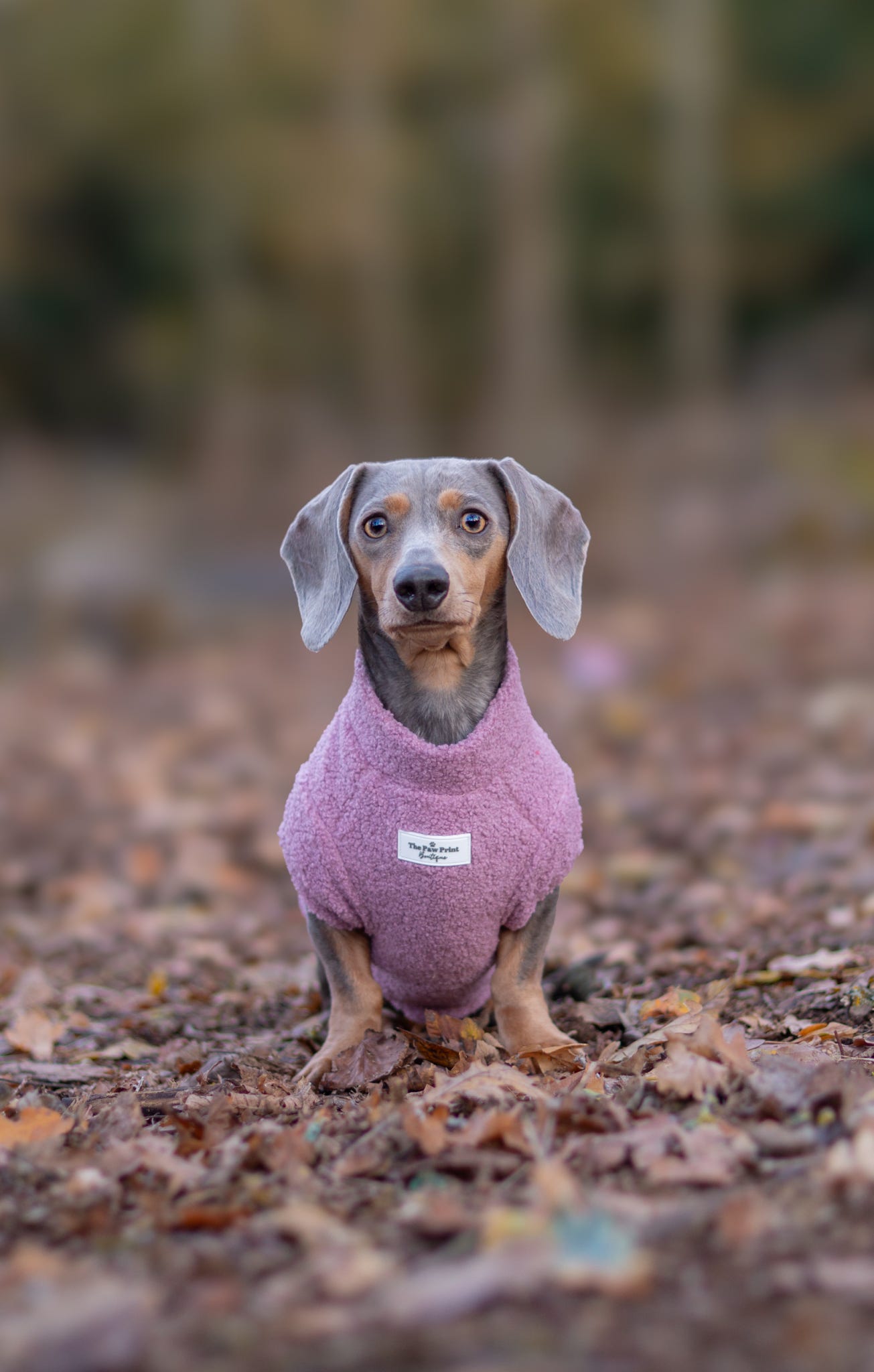 Teddy Fleece - Mauve