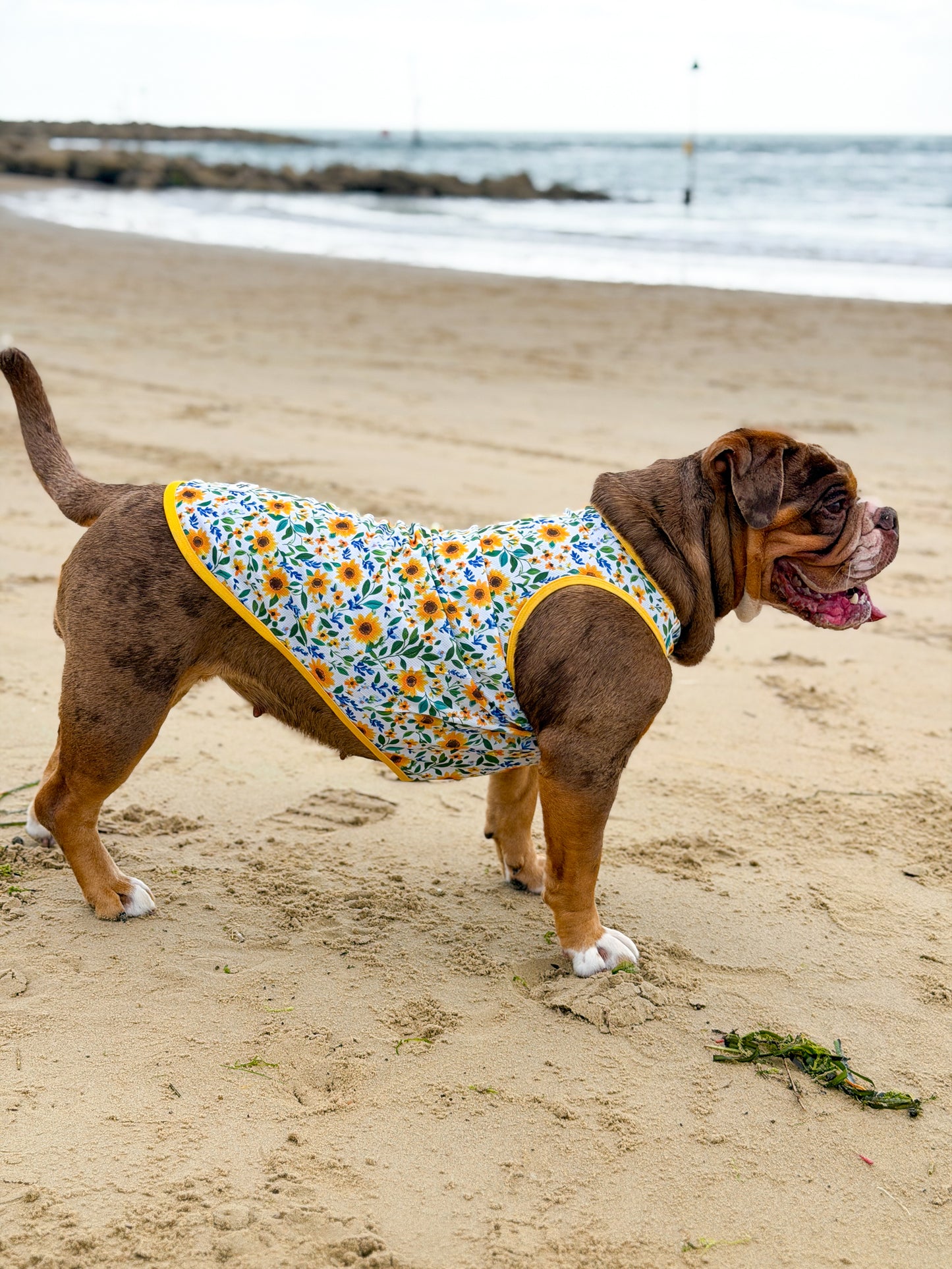 Sunny Sunflowers Cooling Vest