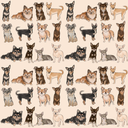 The Chihuahua Human Blanket