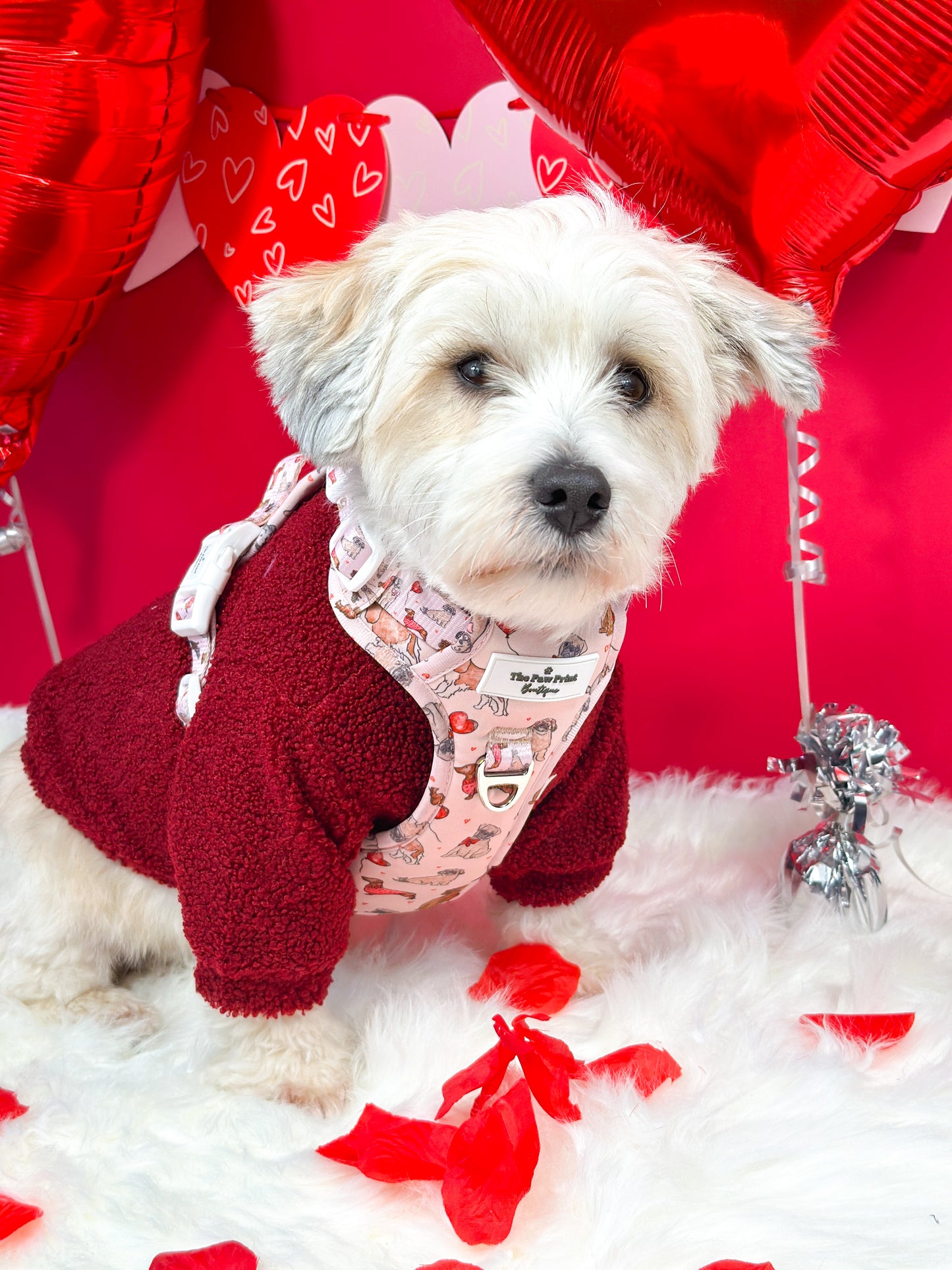 The Puppy Love Adventure Paws Harness