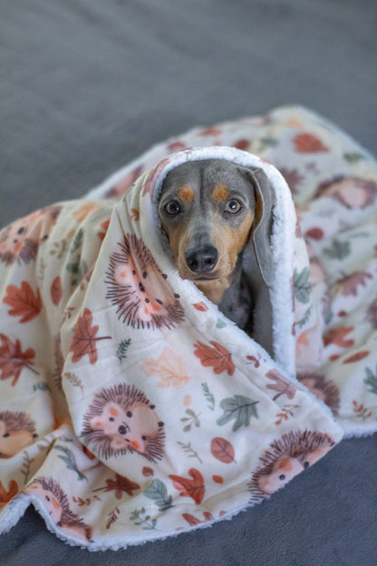 Spike the Hedgehog Dog Blanket