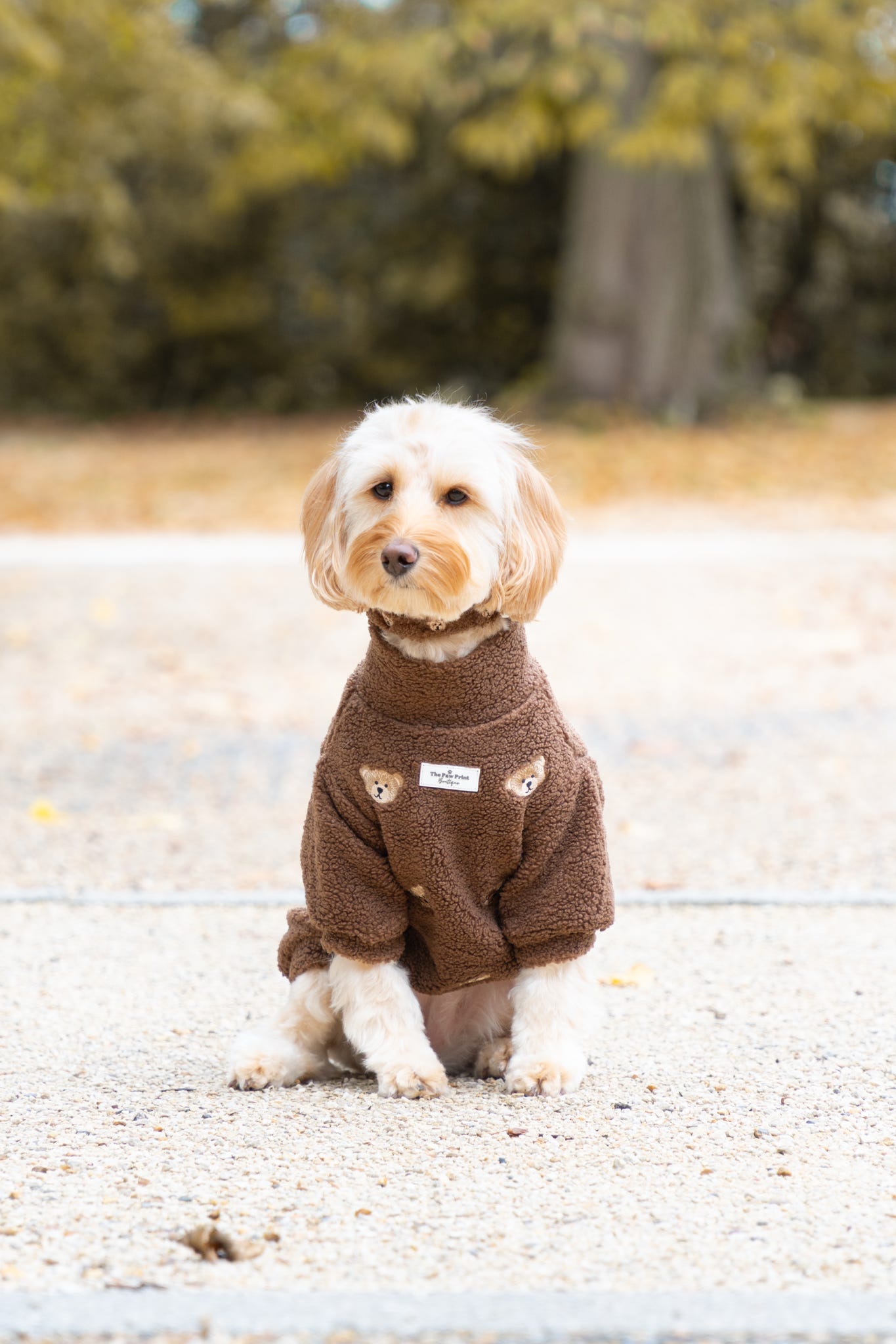 The Embroidered Little Bear Cub Teddy Fleece