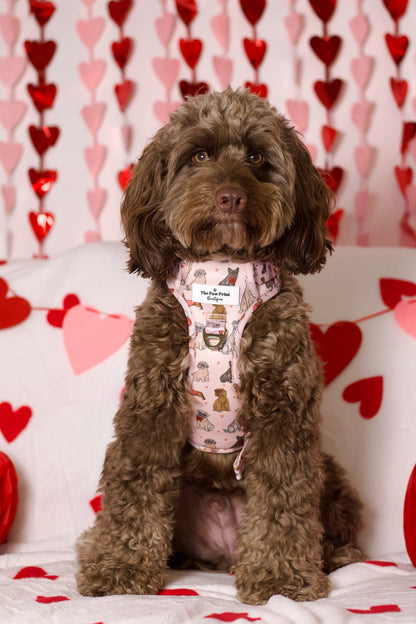The Puppy Love Adventure Paws Harness