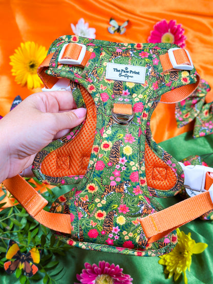 The Tiger who came to TPPB Adventure Paws Harness