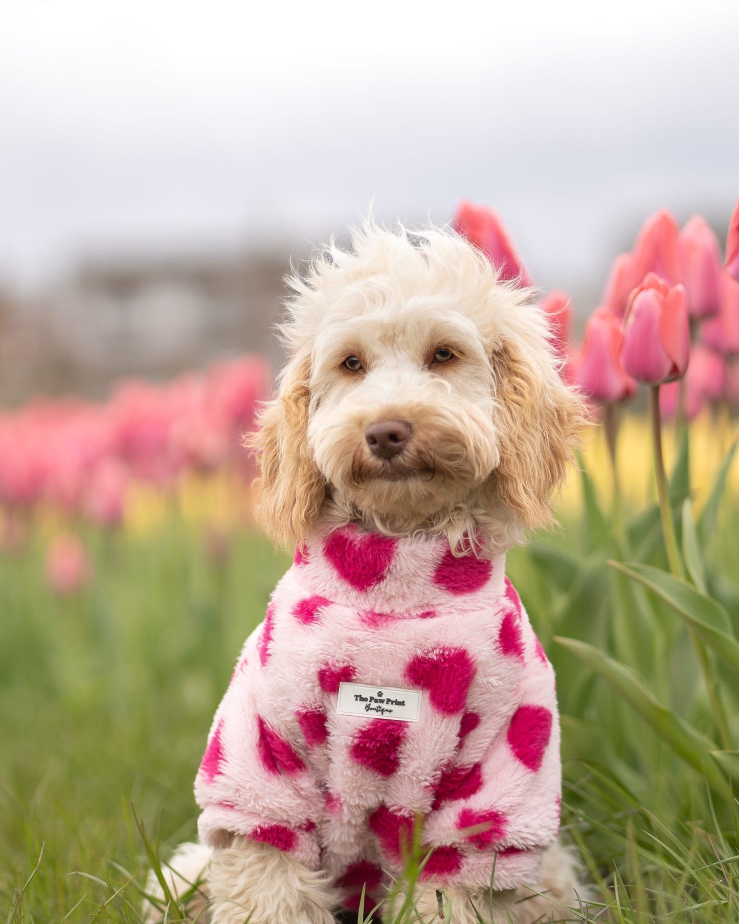 The Love Hearts Fluffy & Fabulous Fleece