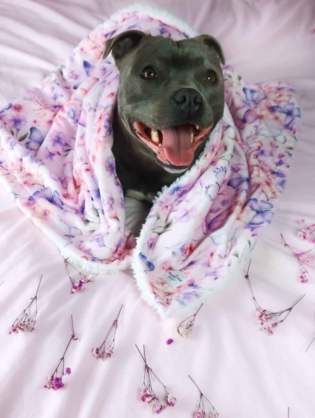 Butterfly Bliss Dog Blanket