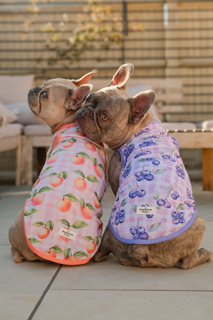 The Blueberry Gingham Cooling Vest