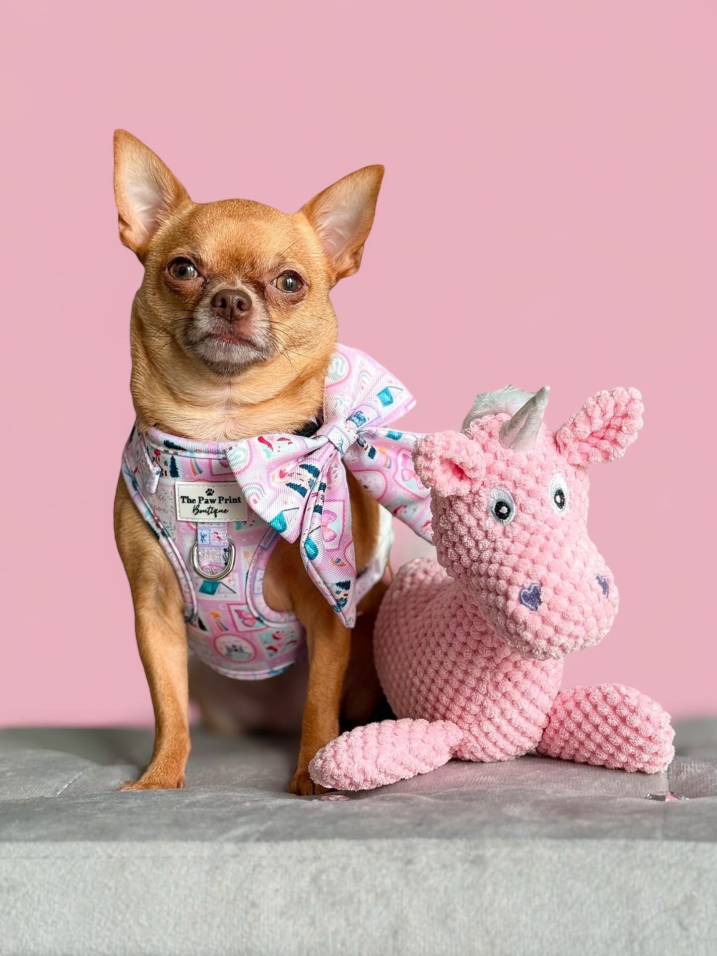 The Once Upon a Pup Adjustable Harness