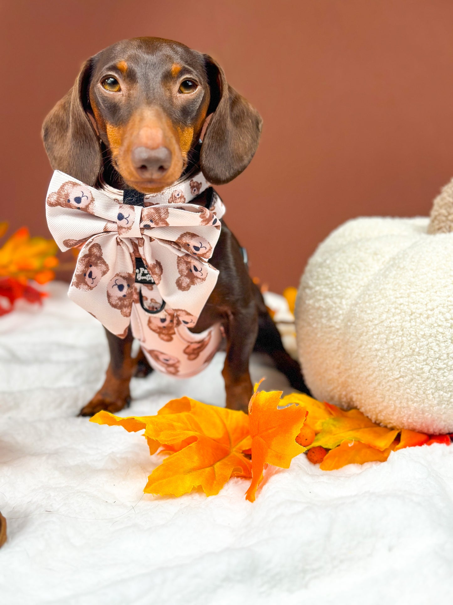 The Little Bear Cub Bow Tie