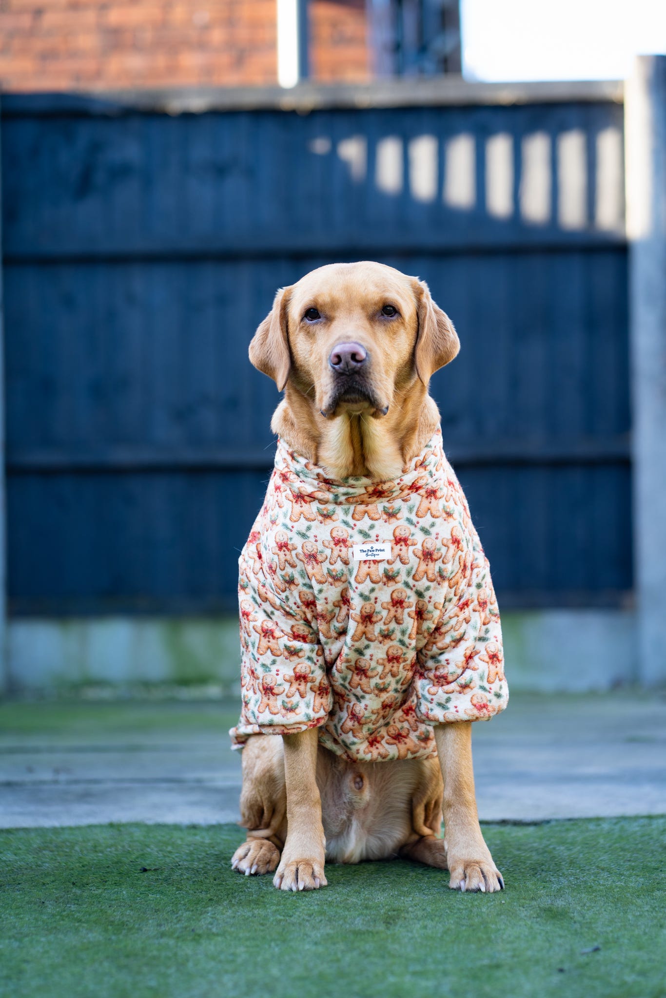 Gingerbread Grove Snuggle Fleece