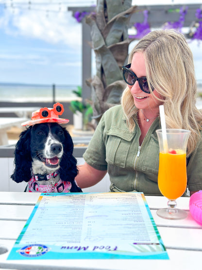 Beach Club Pawty Tickets 🏖️