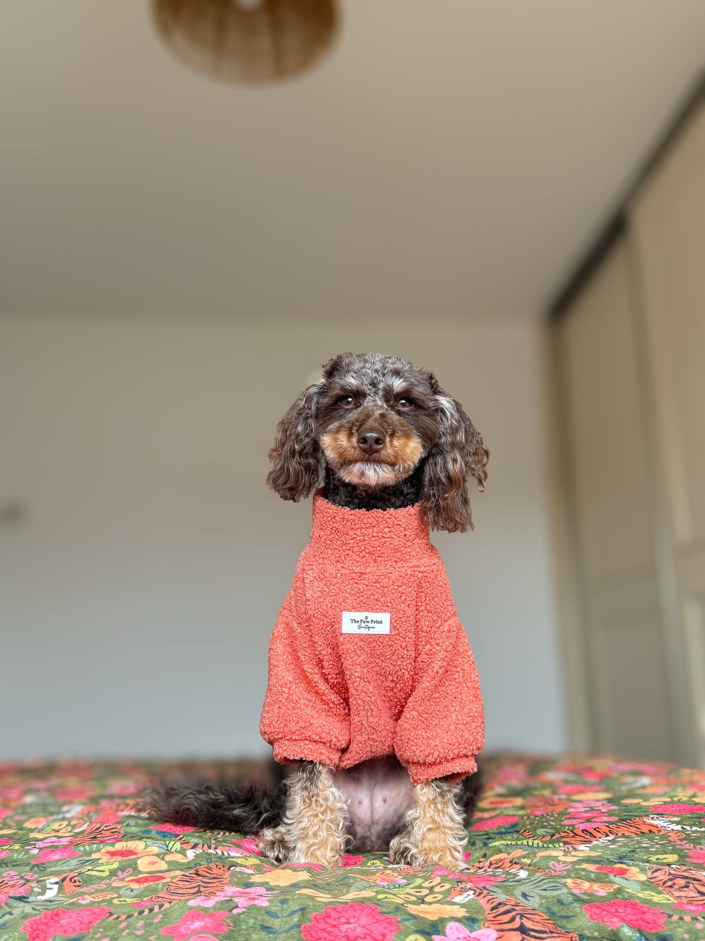 Teddy Fleece - Coral