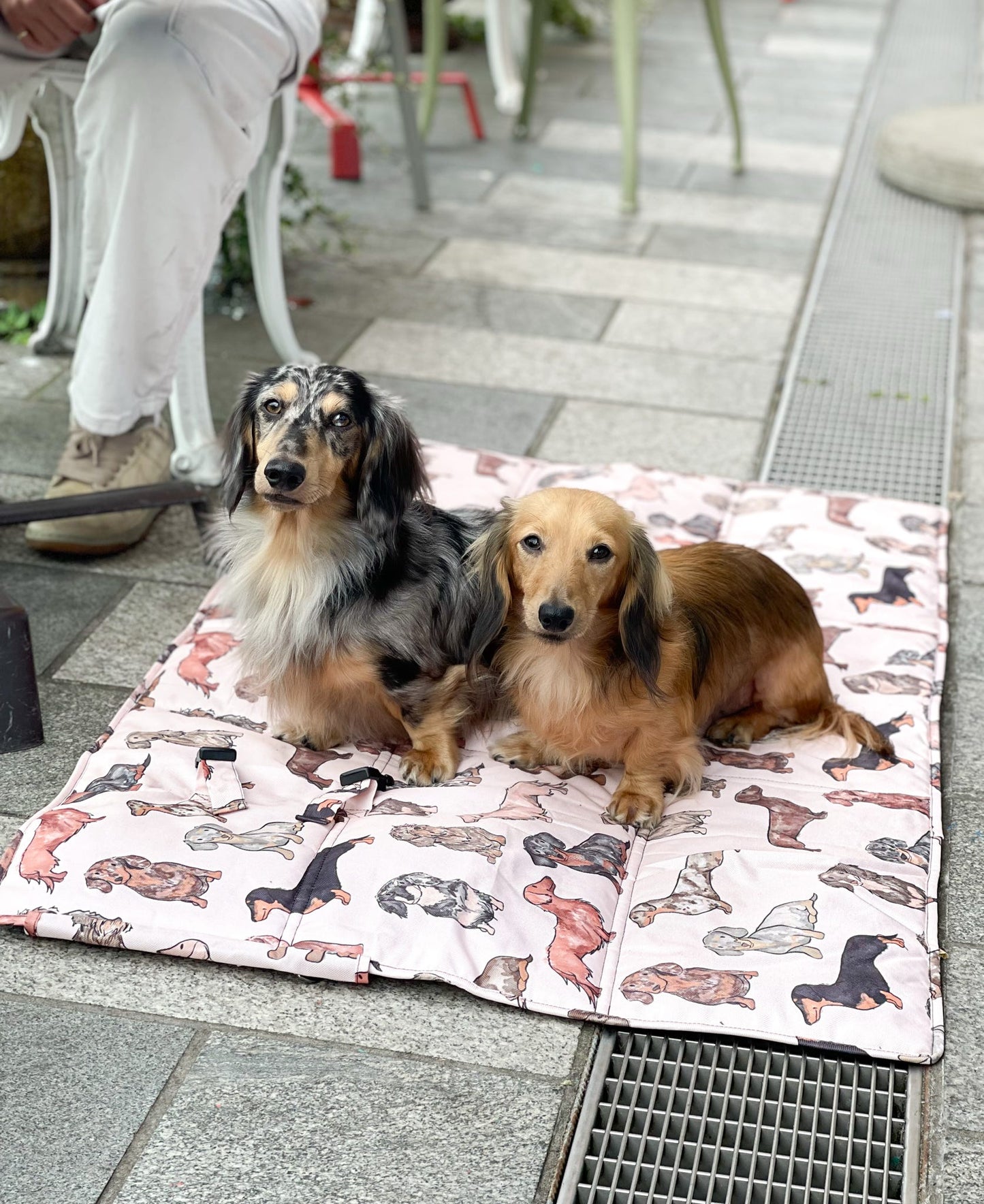 The Dachshund Travel Mat