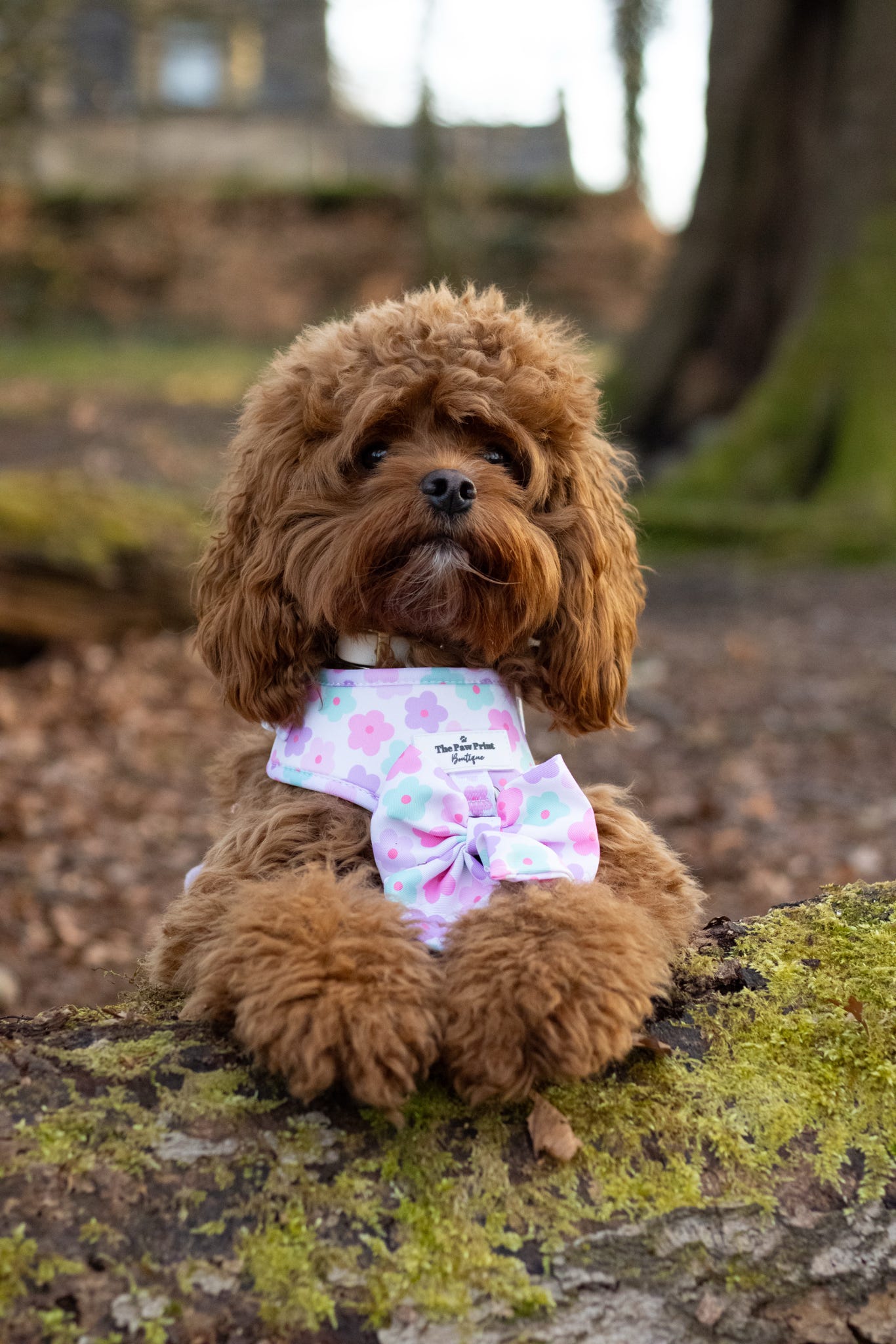 The Flower Power Adjustable Harness