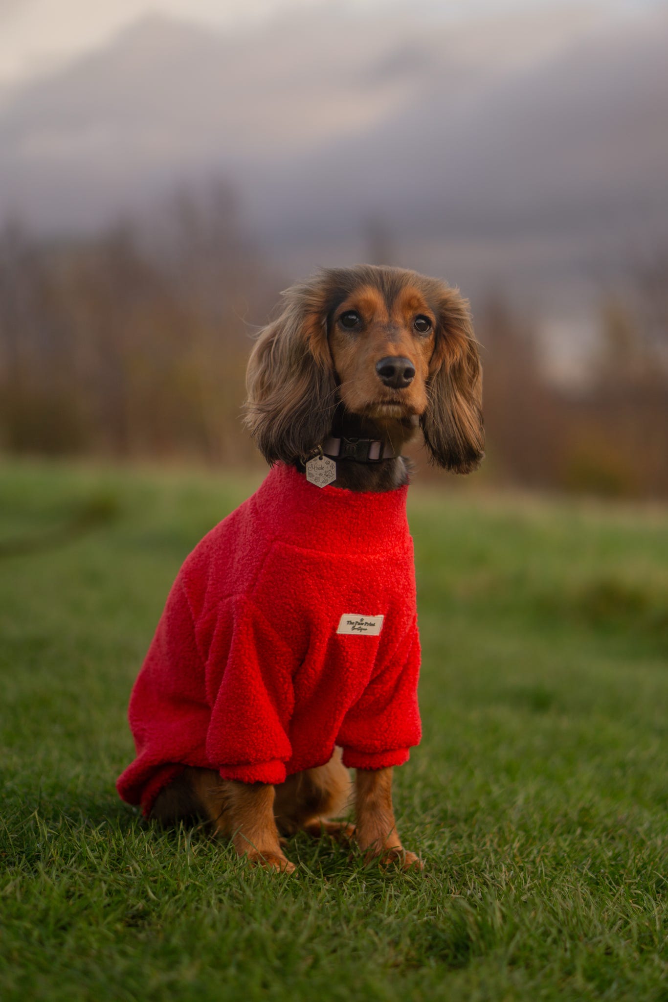 Teddy Fleece - Red Berry