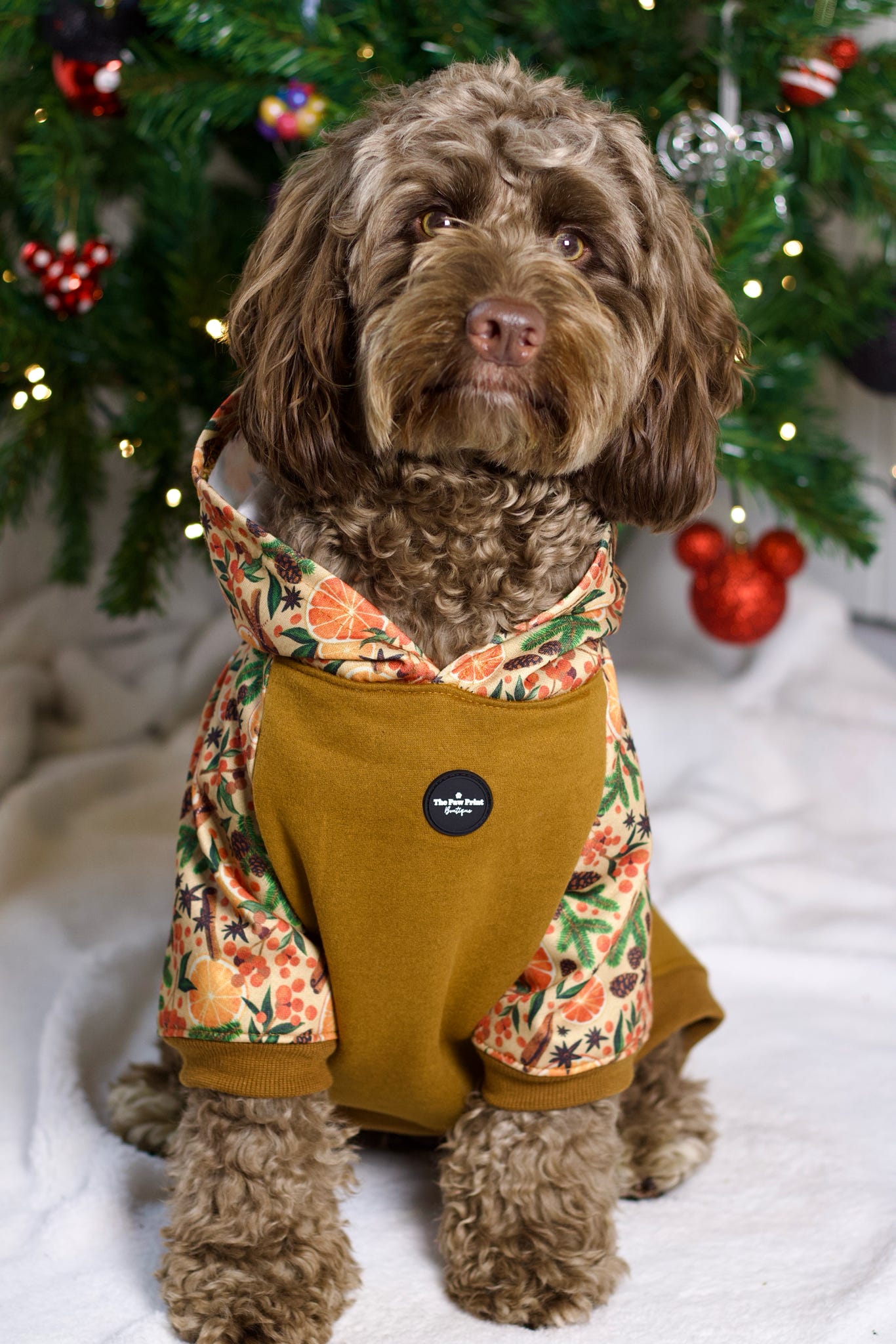The Winter Scents Dog Hoodie